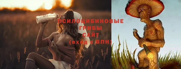 мет Арсеньев
