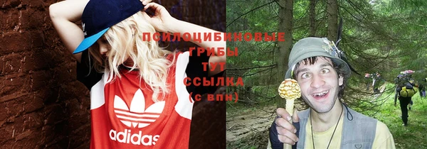 мет Арсеньев