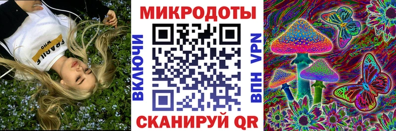 купить Урай MEGA ТОР Псилоцибиновые грибы Cubensis